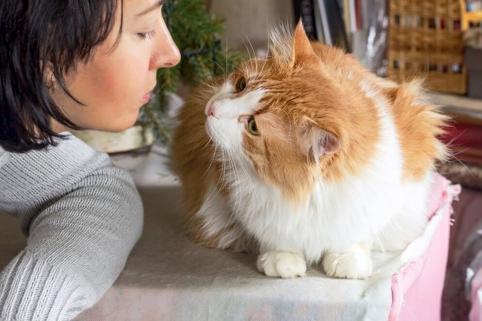 pet