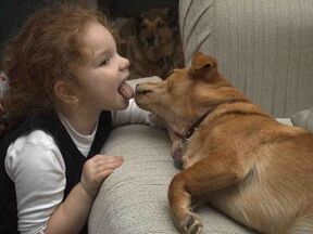 Child infected with parasite after kissing dog
