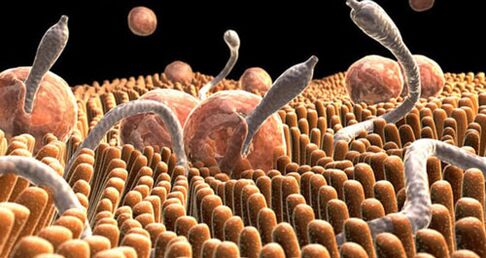 parasites in human body