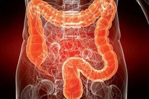 Human intestinal tract is infected by parasites