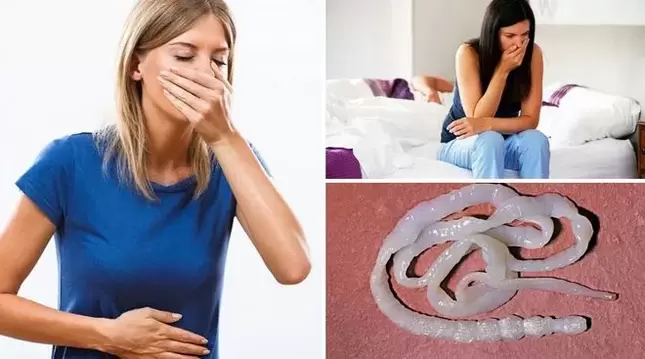 Symptoms of parasites in the body
